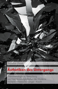 Ästhetiken des Untergangs – Phänomenologische Betrachtungen zu Narrationsmöglichkeiten der Moderne Hölderlin – Nietzsche – Jünger – Kracht – Sebastian Meisel – ISBN 9783826080913 / 978-3-8260-8091-3 / 978-3-8260-8091-3 [Digital]