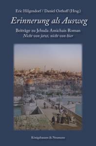 Cover zu Erinnerung als Ausweg (ISBN 9783826068263)